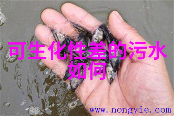环境监测仪器揭开水质监测行业未来的神秘面纱300亿市场规模的豪门婚礼即将盛大举行