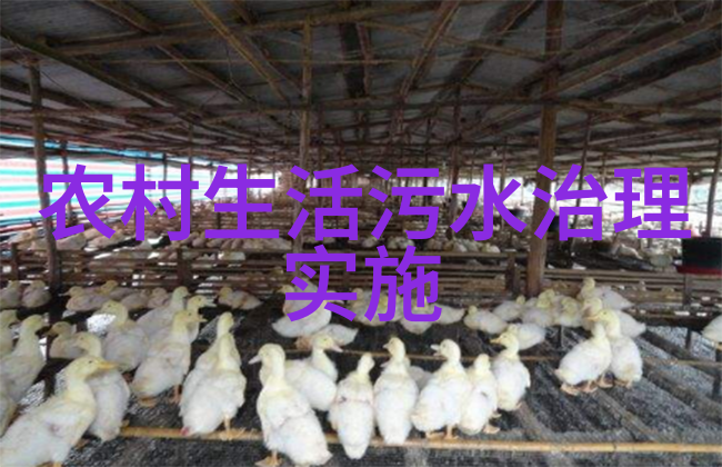 立体绿化城市空间中的多层次生态系统建设