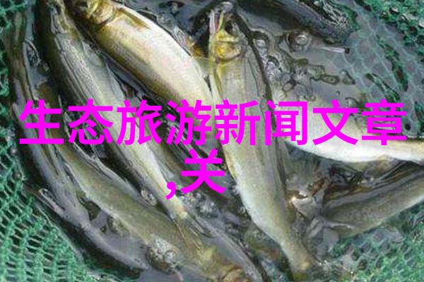 绿色发展属于绿色生活吗 - 追逐碧波探索绿色发展与生活的完美共鸣