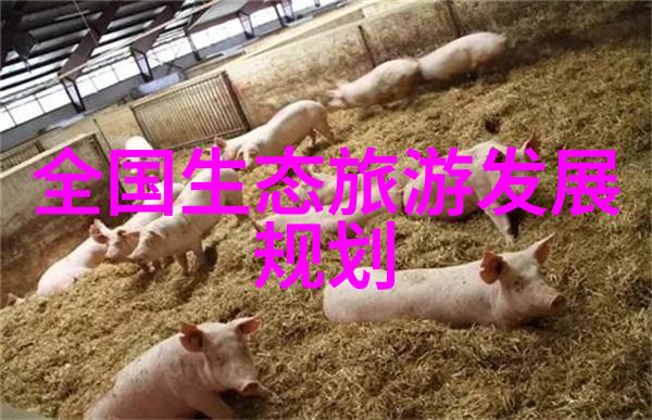 过滤食用油的最佳滤布选择高效净化食用油的专业滤网