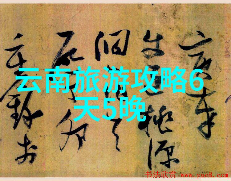 板框压滤机的选择与应用深度探究滤布材质的影响