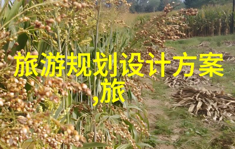 高效精准的过滤技术新一代过滤器设备生产机器的创新应用