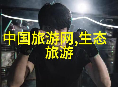 管道过滤器结构图解析从设计原理到实践应用的全方位探究