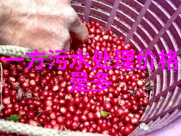 企业排放污水处理方法与实践指南