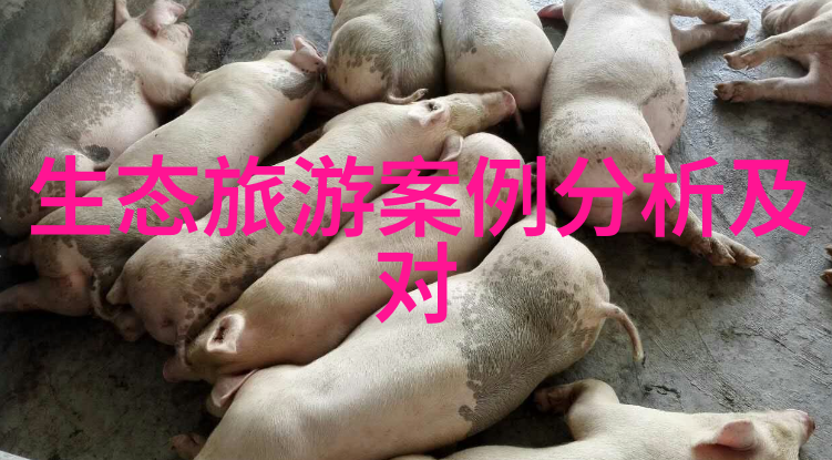 圆盘真空过滤机的应用与挑选考虑因素