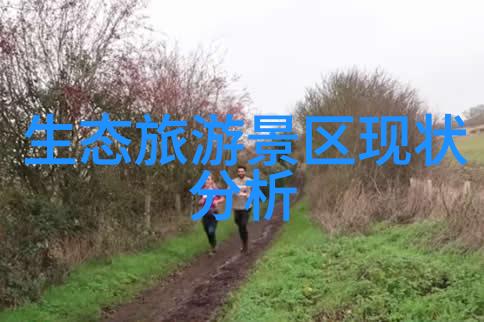 驾驭智慧汽车仪表盘的设计演变与功能创新