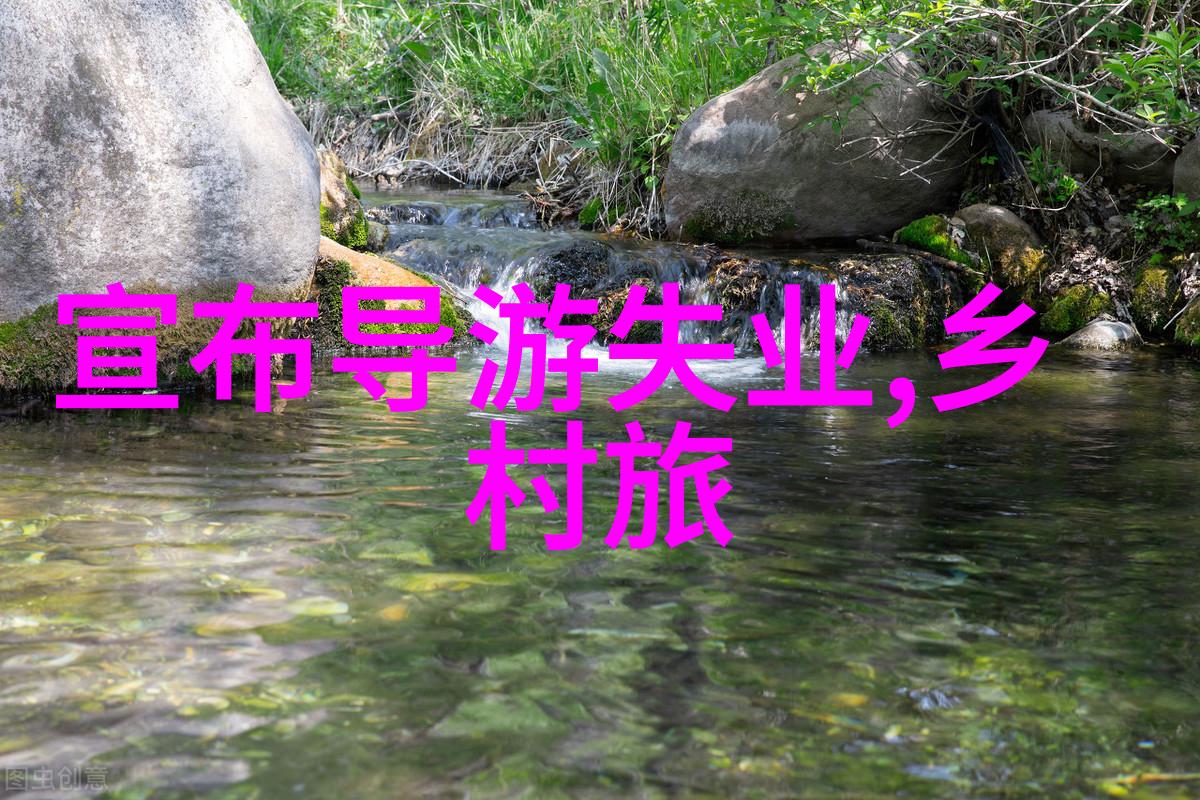 粮食日庆祝全球食品节目丰收感恩健康饮食