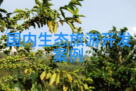扇贝的诱惑打开腿之谜与胸部的秘密