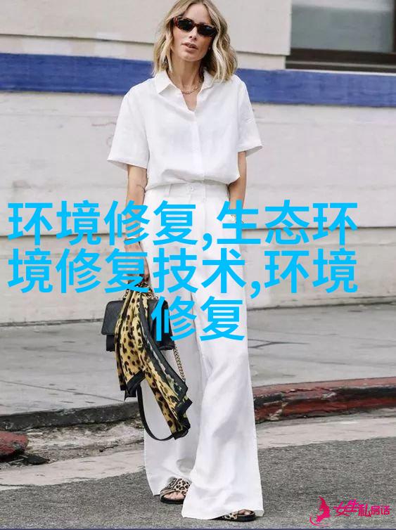 分析测试组件集