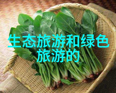 绿色旅行探索旅游业对环境影响与可持续发展的实践环保旅游策略生态保护措施旅游资源管理