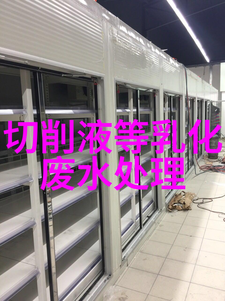 卫老与淑蓉岁月的回响