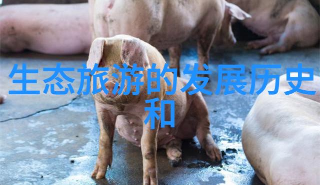 双滤筒罐型过滤器-清洁水源的双重防护探索双滤筒罐型过滤器的工作原理与优势
