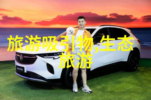 推荐一本科普读物让我们像探险家一样走进图画书的丰富世界