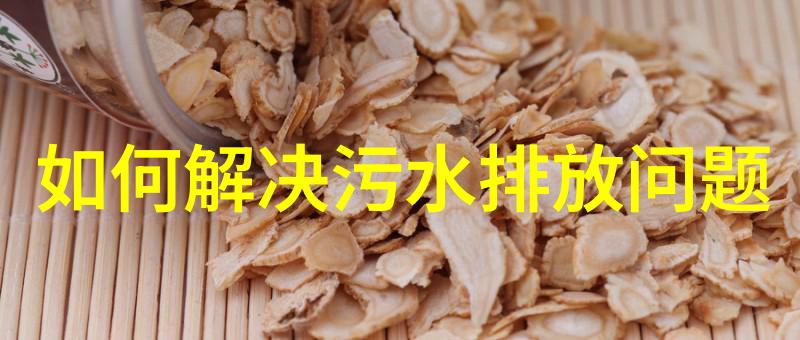 跨国合作与创新驱动国际污水设备市场简介
