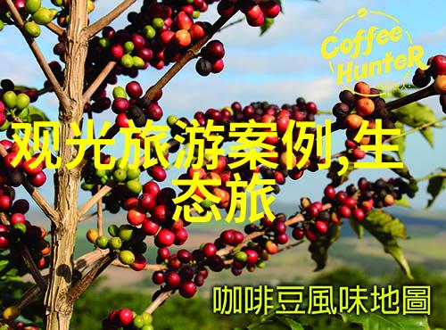 驯服女教师揭秘 Classroom 中的权力与情感