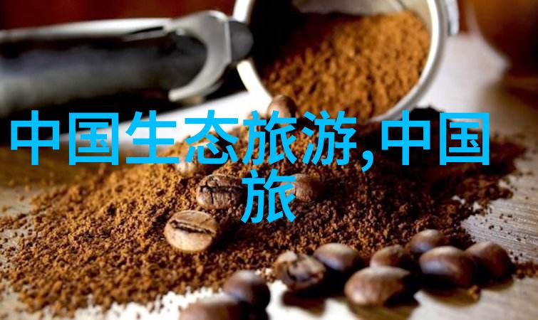 华人城防屏蔽页面解析