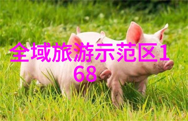 哪些政策有助于环境保护