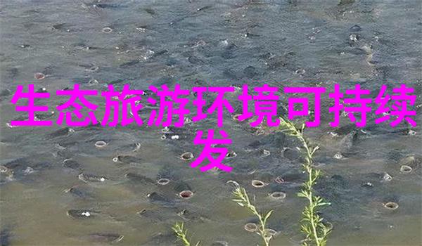 滤净之神布袋式压滤机的奥秘