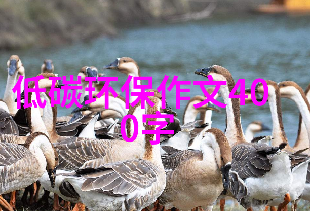 机器之声与尘埃的歌谣
