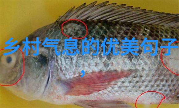 医用检验仪器全解析从血糖仪到自动分析仪了解医学检测的精髓