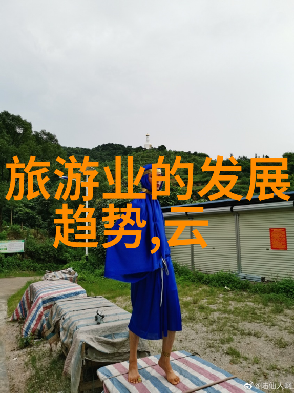江山为聘新浪时代的网络帝国