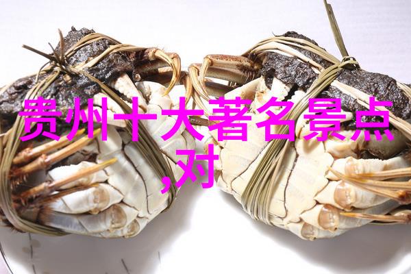 中国旅游业的繁荣与挑战新时代的旅途