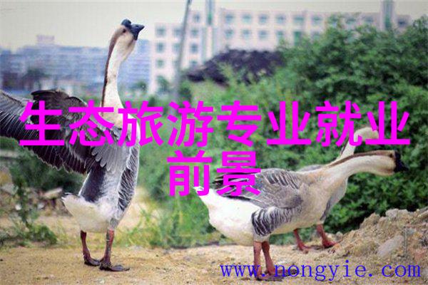 主题我是怎么发现电池污染的