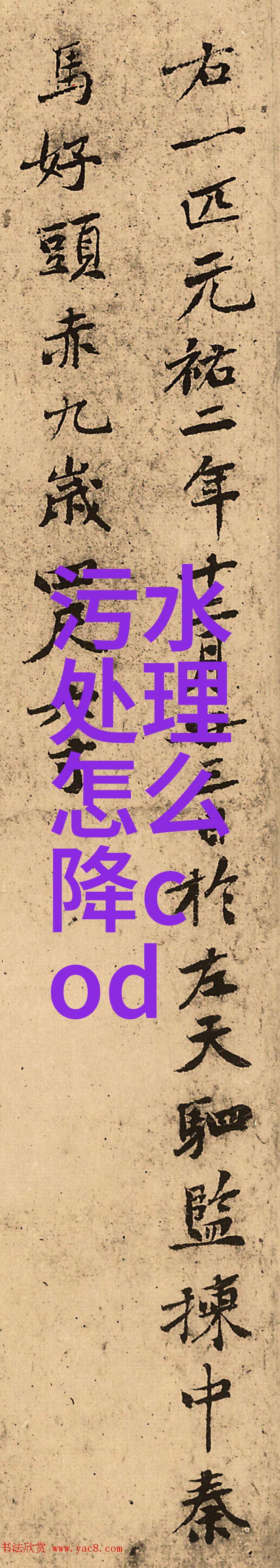 水的宝贵探究保护水资源的现实与未来