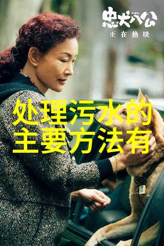 农村化粪池管理与环保新趋势探讨