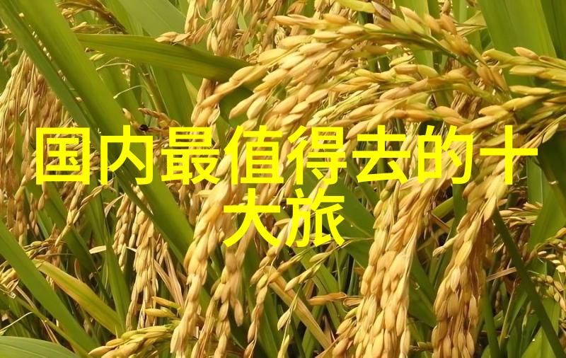 星辰变后传重铸宇宙的传奇
