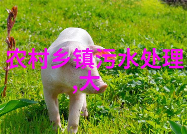 公共交通与自行车共享改变出行方式省钱又环保