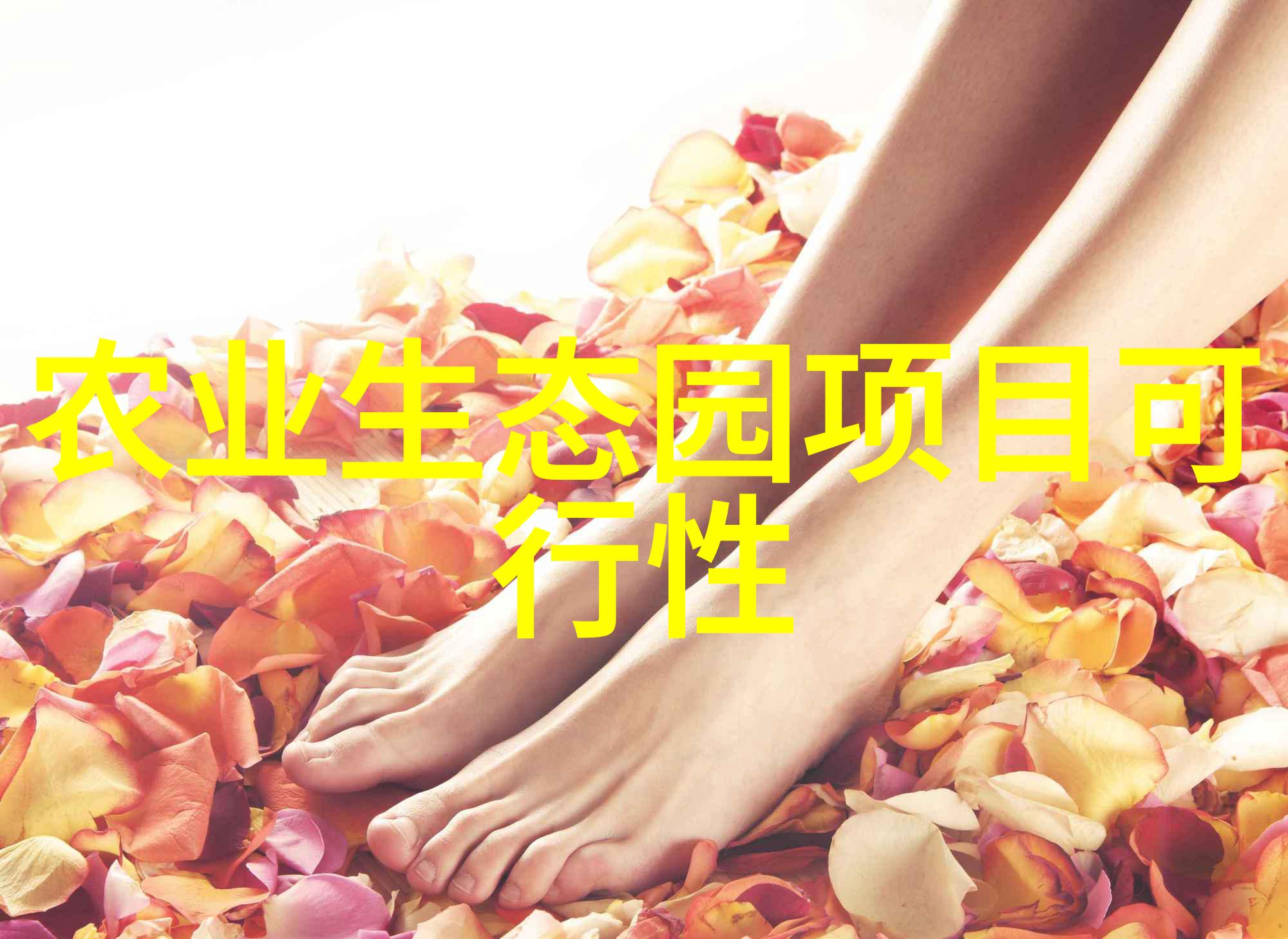 国际合作共享经验加强全球水资源管理
