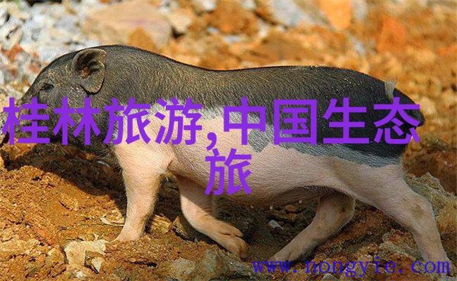 尼罗河的秘密探索定期泛滥背后的趣味科学知识