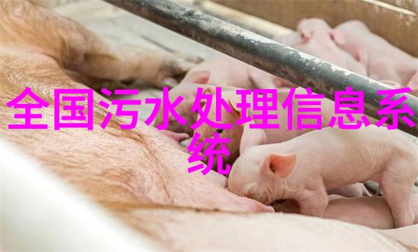 工业废水处理中的挑战与解决方案脱色的创新之路