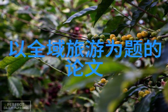美育的魅力与实践