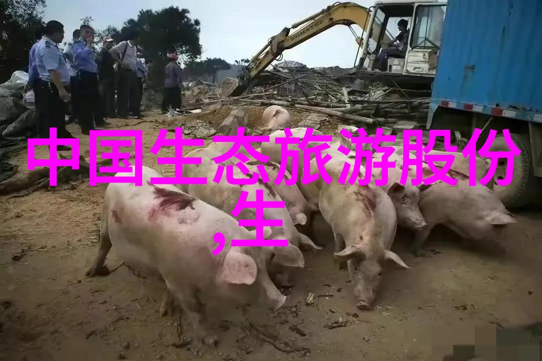 乡村自建之谜厕所污水处理的智慧路径