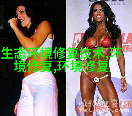 自来水泵