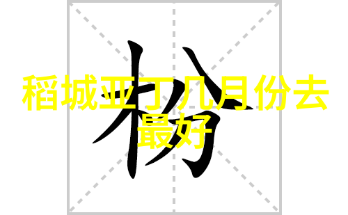 板框压滤机的运作奥秘从原理到实践的全过程解析