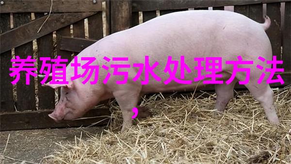 黑暗中的净化洗煤废水处理工艺流程图之谜