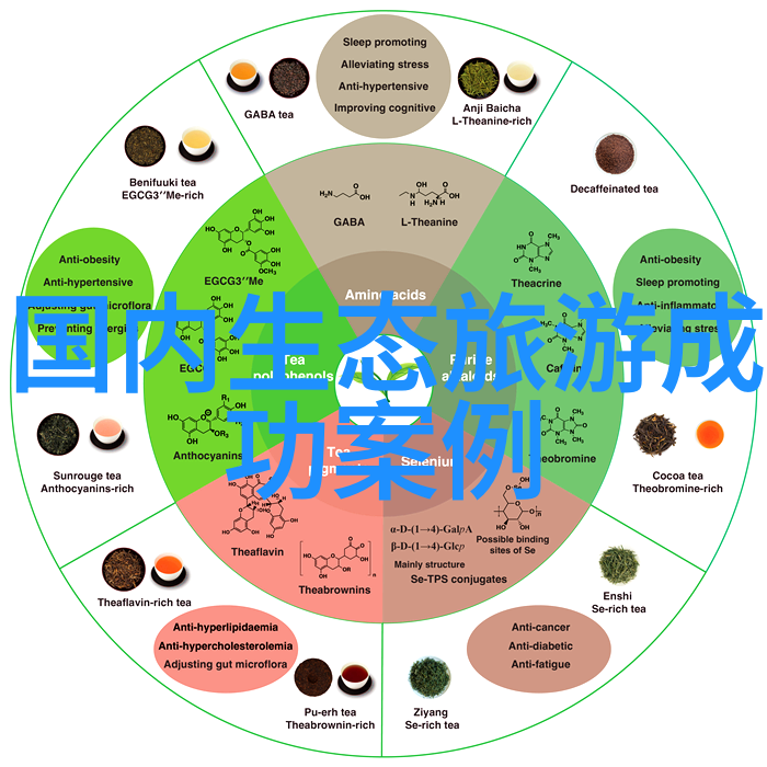 绿色餐桌健康未来探索环保食品的美味革命