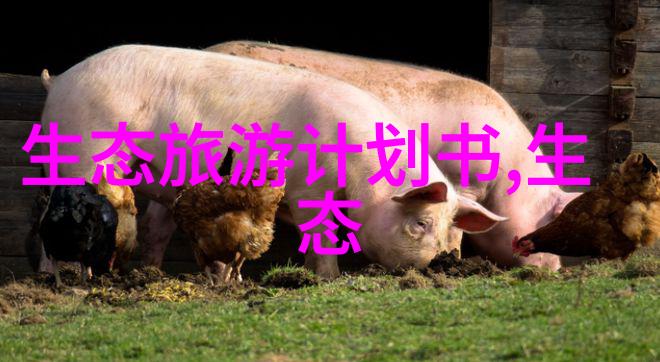 长江中国第一大河流淌着历史与神秘的故事