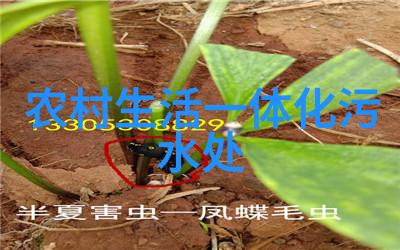 绿色家园共创未来生态环境保护宣传标语的重要意义