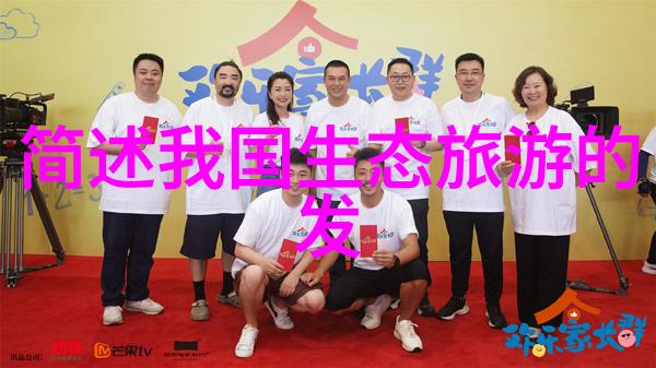 虚拟舞台上的裙摆旋转探索吹裙子电脑版的数字魅力