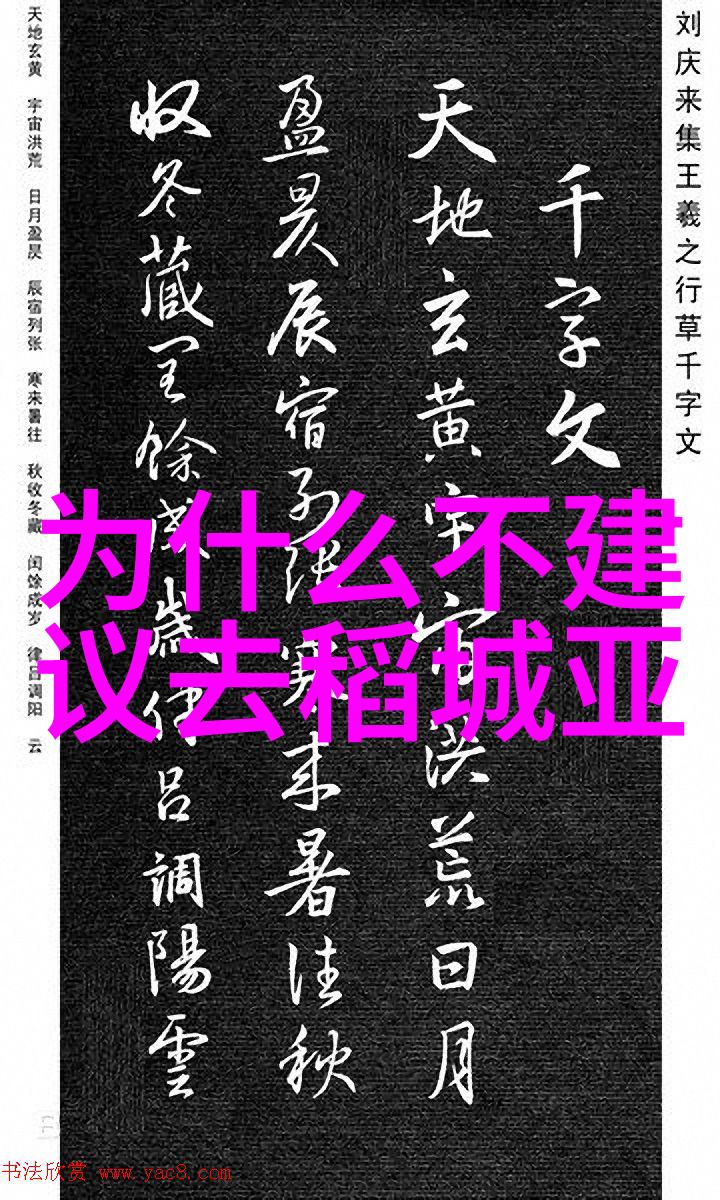 研究性学习报告探索新技术在教育领域的应用与挑战