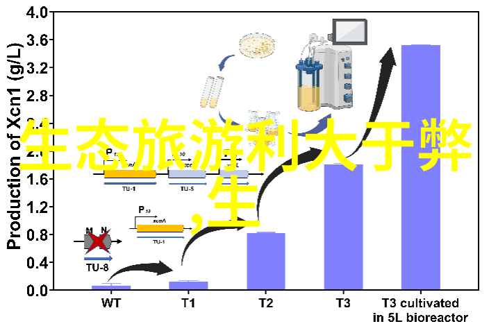 生态旅游管理与可持续发展策略生态旅游可持续发展旅游规划环境保护