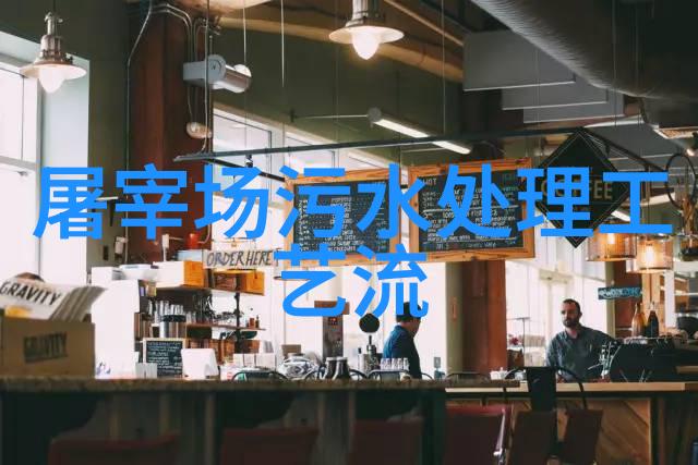 城镇污水处理厂的净化奇迹从黑暗到光明的工艺探秘
