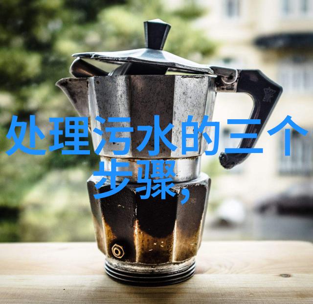 环境监测管理与技术智能环境监测系统污染物排放标准生态健康评估气候变化适应策略