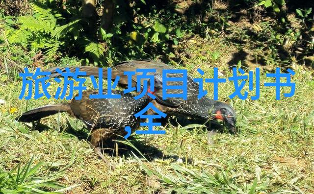 绿意盎然的中国城揭秘那些让人一看就爱的生态宝地