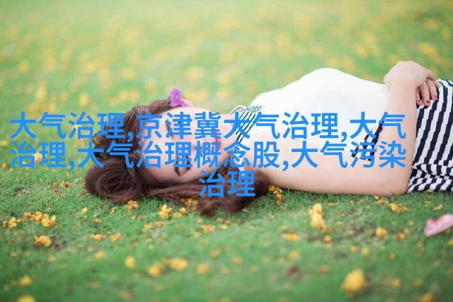 图4: 工业场景中的不锈steel filter