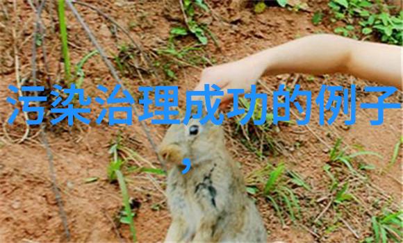 低碳环保未来的秘密篇章
